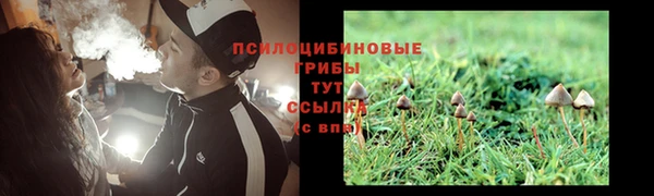 ALPHA PVP Лихославль